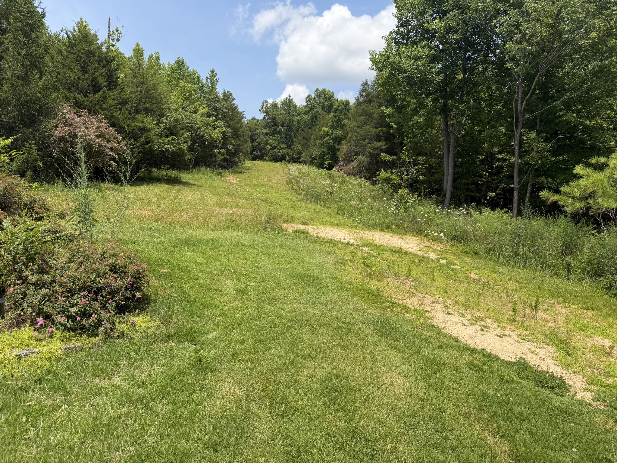 232 Cane Creek Road Hohenwald, TN 38462 - Photo 81 of 91