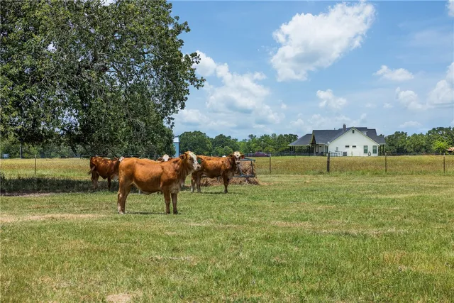 a view of a big yard with a house