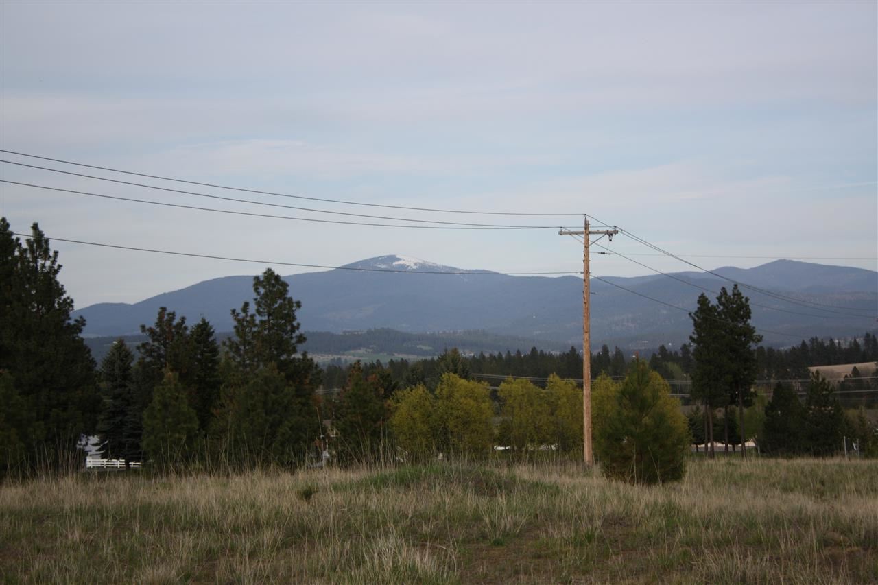 221 West Monroe Road Colbert, WA 99005 - Photo 1 of 9