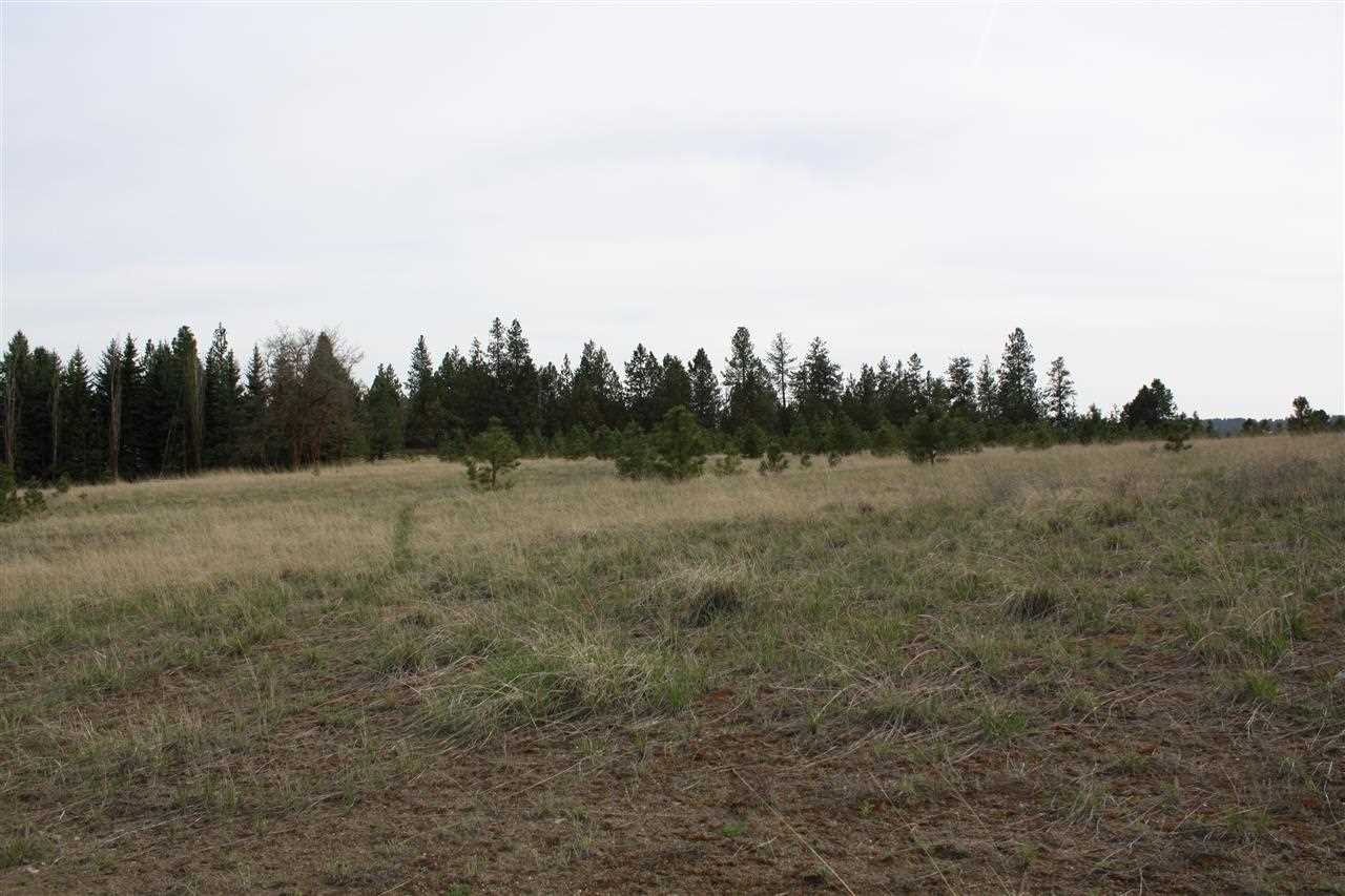221 West Monroe Road Colbert, WA 99005 - Photo 2 of 9