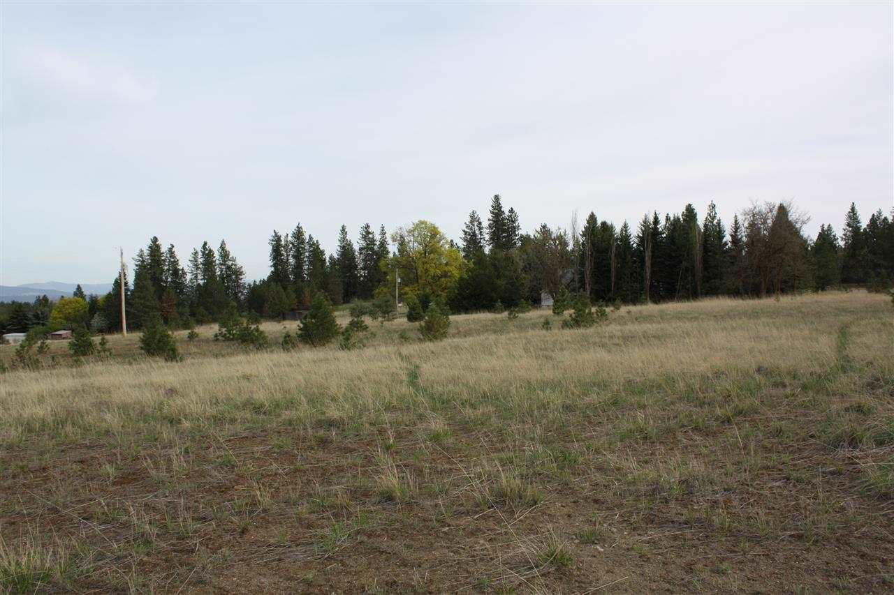 221 West Monroe Road Colbert, WA 99005 - Photo 3 of 9