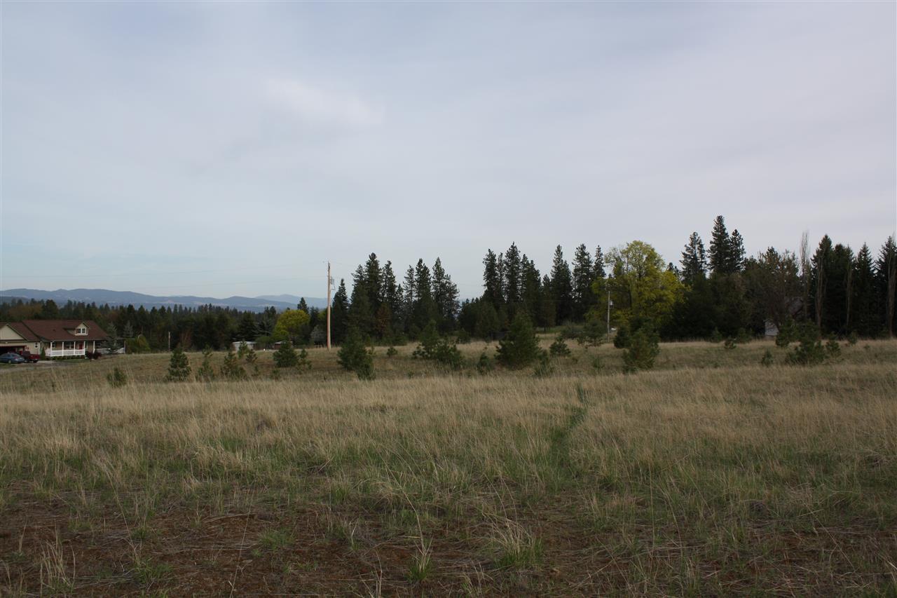 221 West Monroe Road Colbert, WA 99005 - Photo 4 of 9