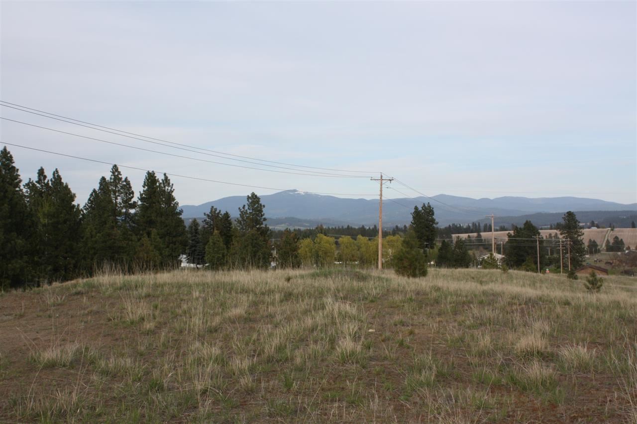 221 West Monroe Road Colbert, WA 99005 - Photo 5 of 9