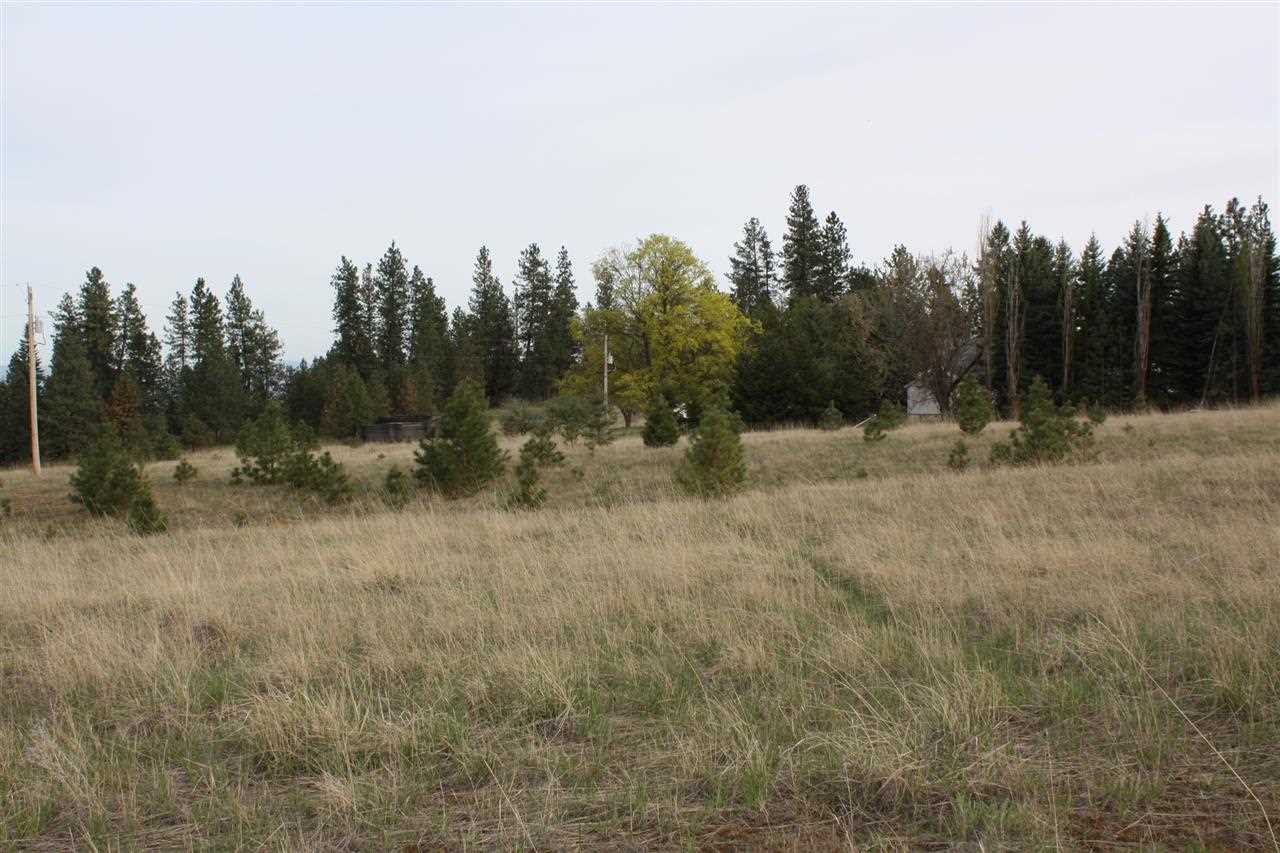 221 West Monroe Road Colbert, WA 99005 - Photo 6 of 9