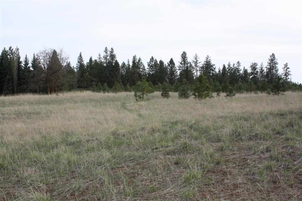 221 West Monroe Road Colbert, WA 99005 - Photo 7 of 9