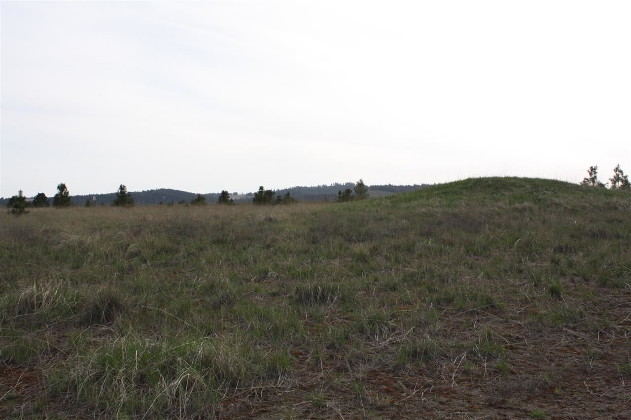 221 West Monroe Road Colbert, WA 99005 - Photo 8 of 9