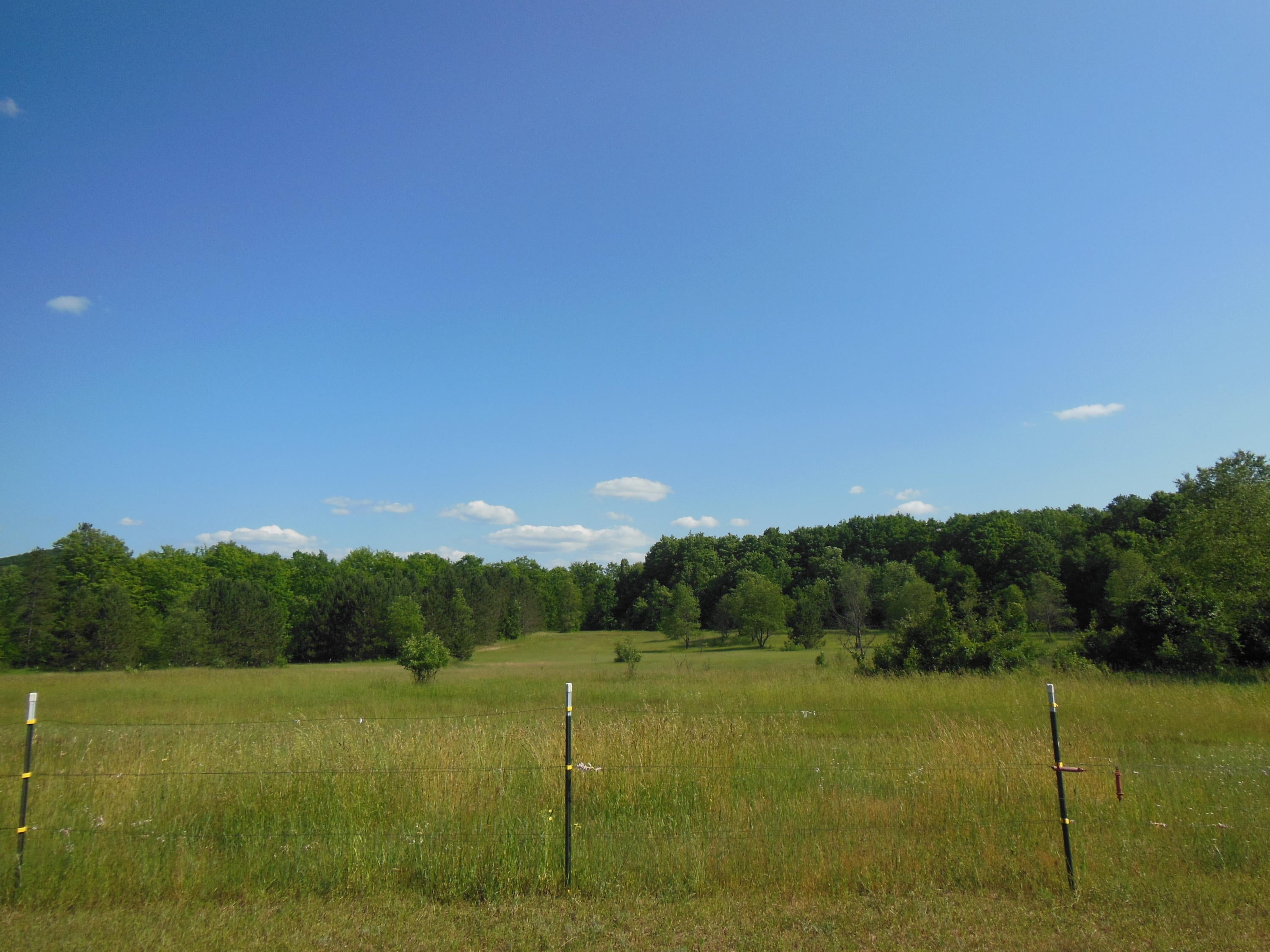 3361 Woodin Road Vanderbilt, MI 49795 - Photo 5 of 30 Gallery Image 5