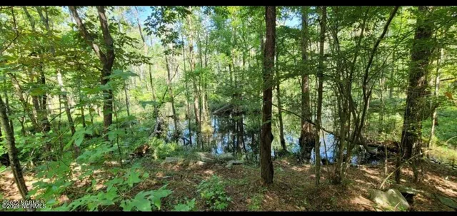 $795,000 | Tbd Ella Sofia Lane, New Bern, NC 28562