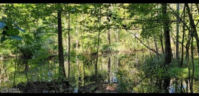 $795,000 | Tbd Ella Sofia Lane, New Bern, NC 28562