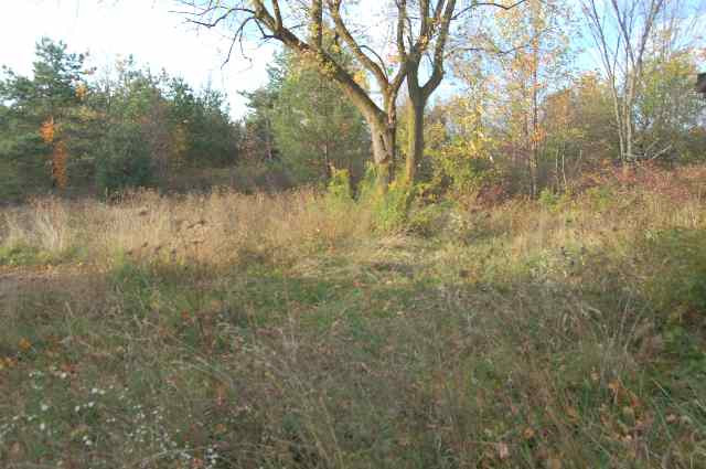 160 Hidley Road Wynantskill, NY 12198 - Photo 3 of 12 Photo 3