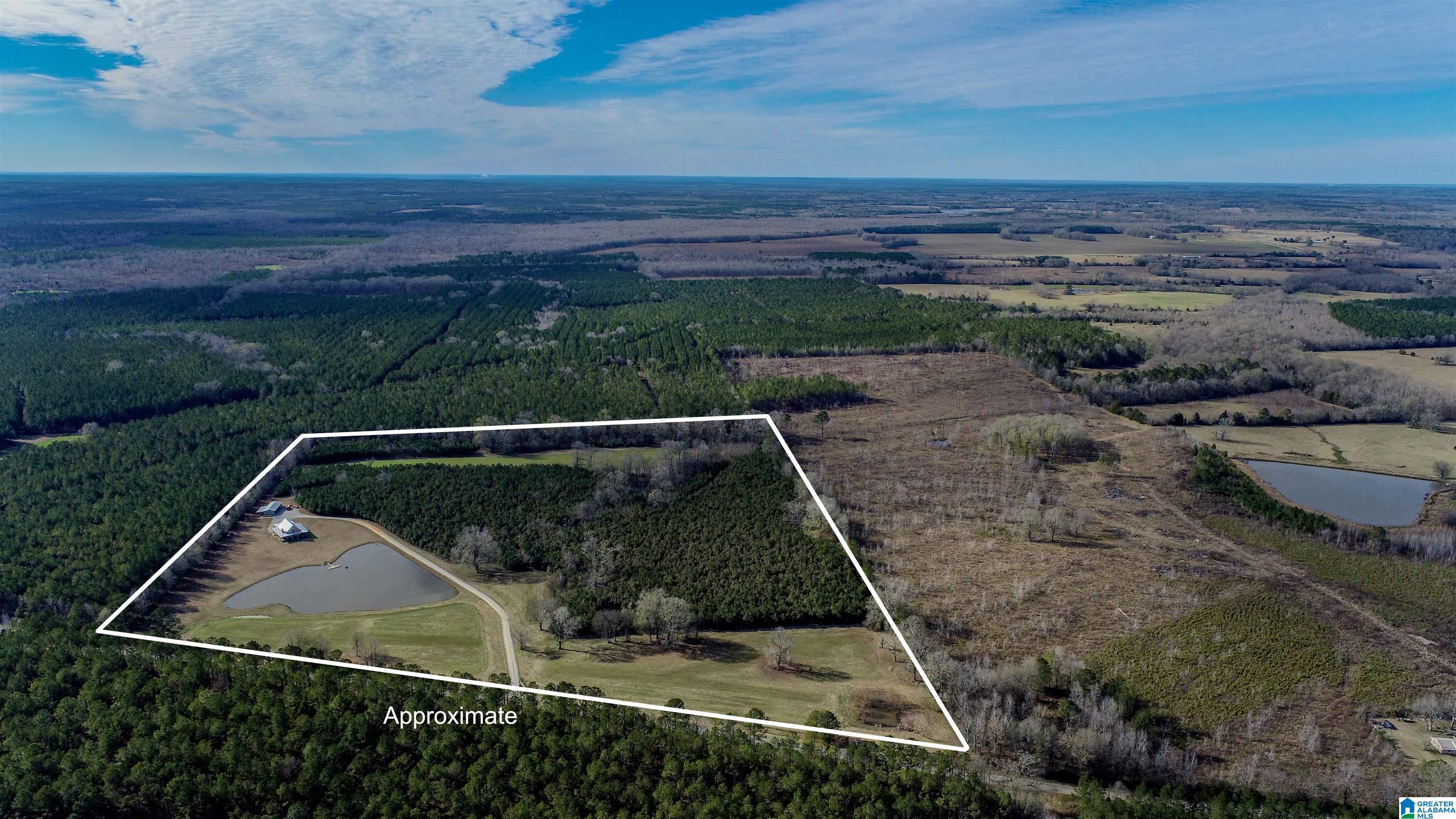 8619 County Road 33 Linden, AL 36748 - Photo 15 of 54