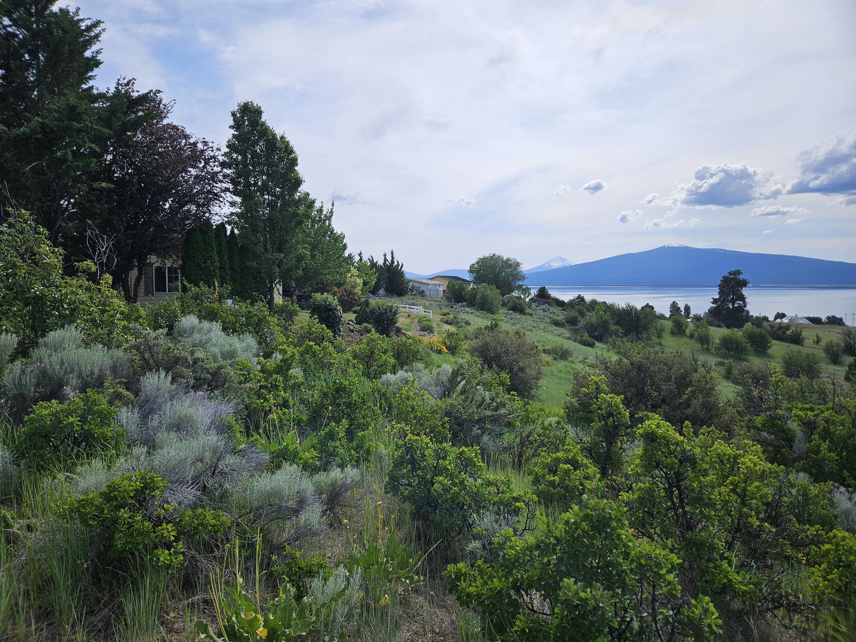 0 Pleasant View Road, Unit LOT 37 Chiloquin, OR 97624 - Photo 2 of 15