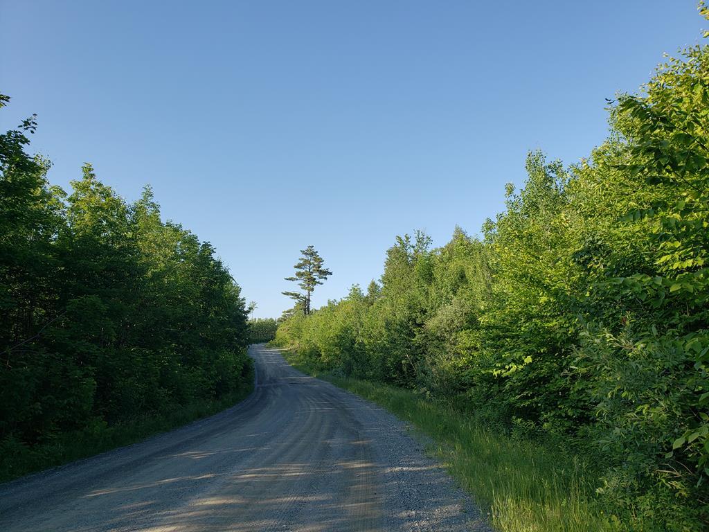 409 Hole In The Wall Road Solon, ME 04979 - Photo 39 of 40 20220621_182648_06-22-2022