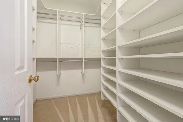 a view of walk in closet with empty racks