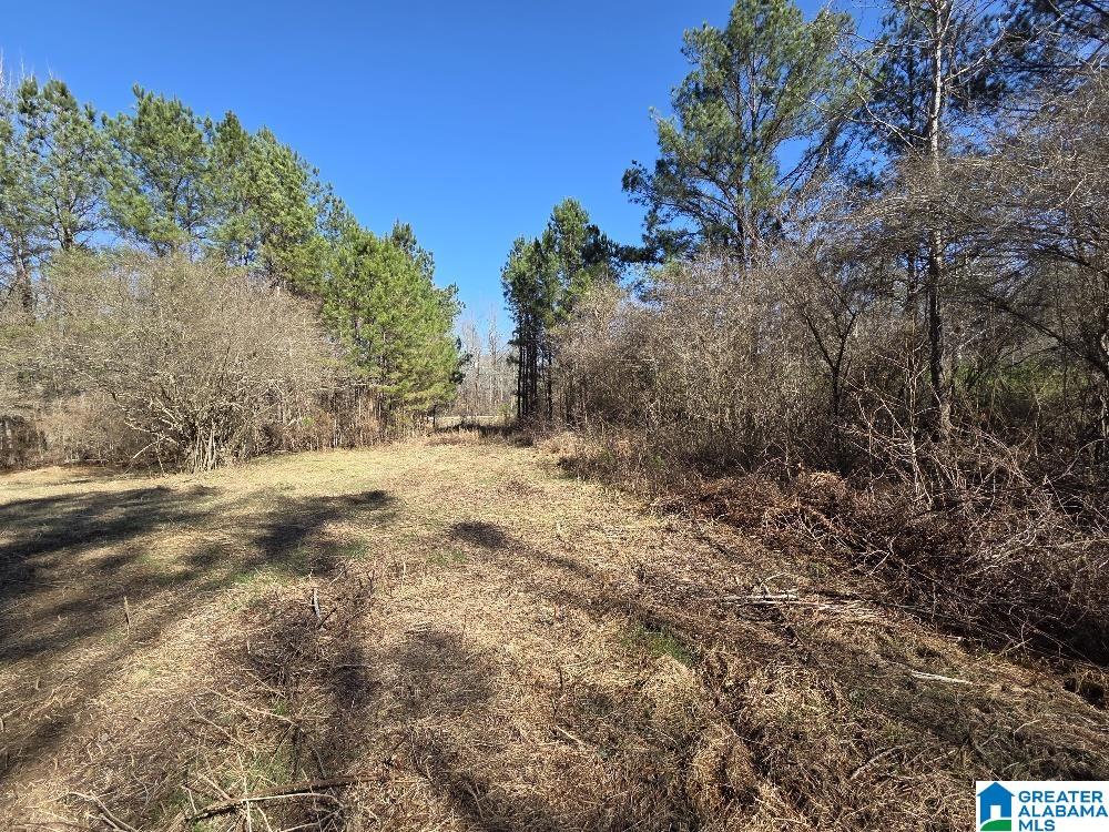 1615 Blanton Road Parrish, AL 35580 - Photo 9 of 12 Gallery Image 9