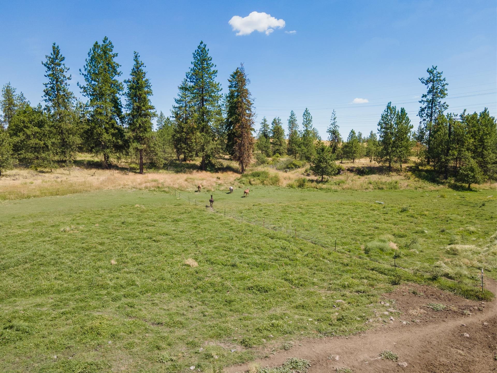 9204 North Dover Road Nine Mile Falls, WA 99026 - Photo 39 of 42 Gallery Image 39
