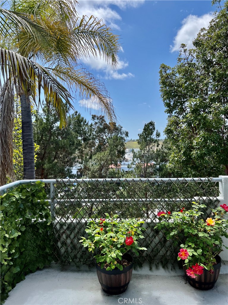 27857 Ruby, Unit 63 Mission Viejo, CA 92691 - Photo 8 of 23 a bunch of flowers are in a garden