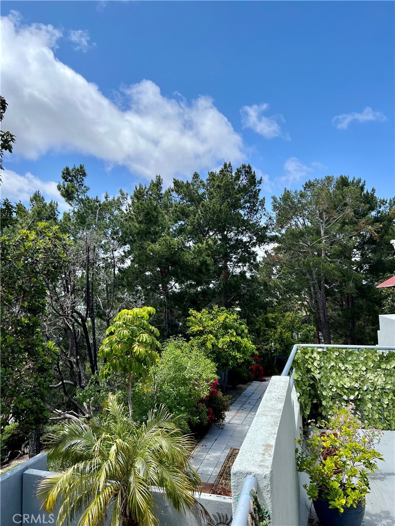 27857 Ruby, Unit 63 Mission Viejo, CA 92691 - Photo 10 of 23 a view of a garden with an outdoor space