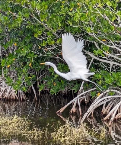 a building view with swimming pool and glass windows