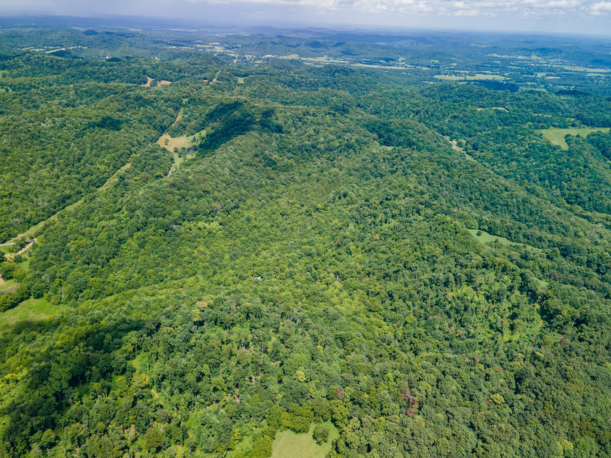 1700 Allen Brown Road Lewisburg, TN 37091 - Photo 20 of 80