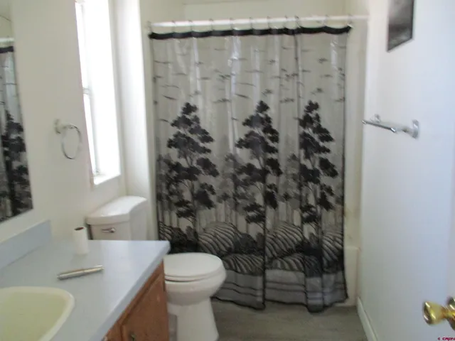 a bathroom with a toilet a sink and a shower