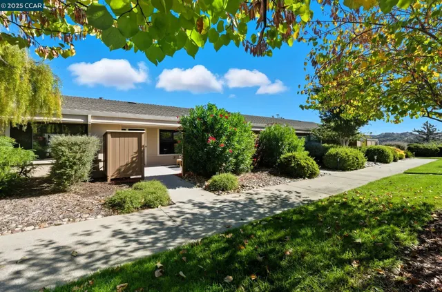 a view of a house with a tree and garden