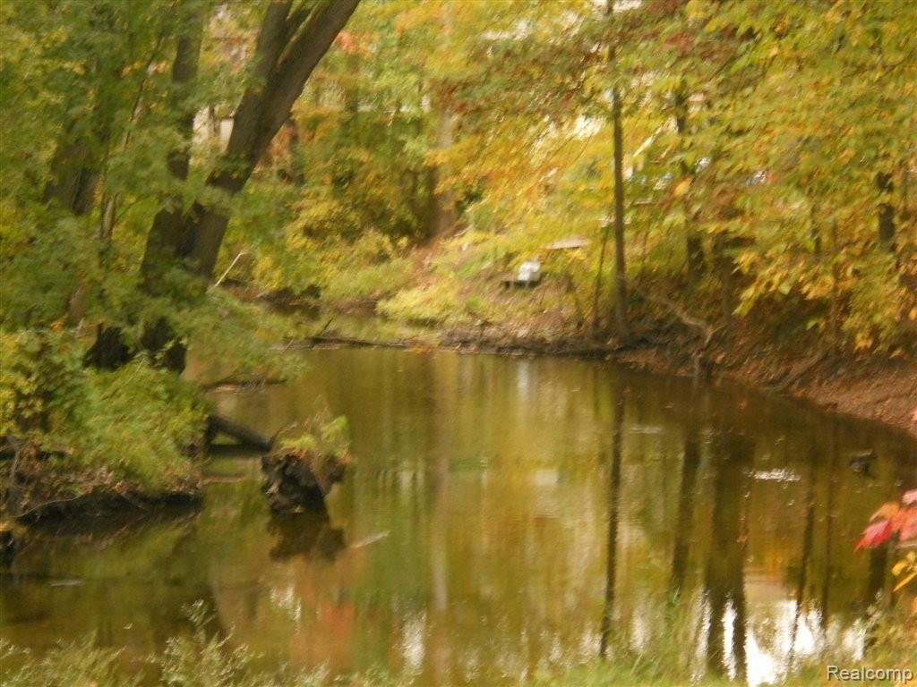 Shiawassee River