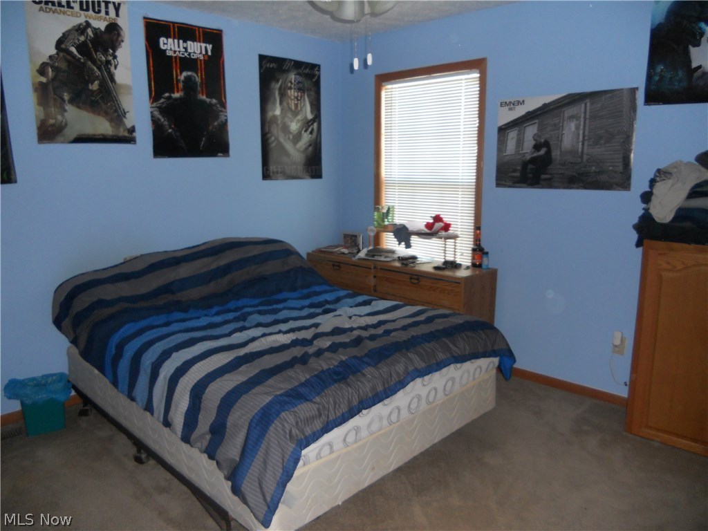 41821 Whitney Road Lagrange, OH 44050 - Photo 13 of 25 Gallery Image 13