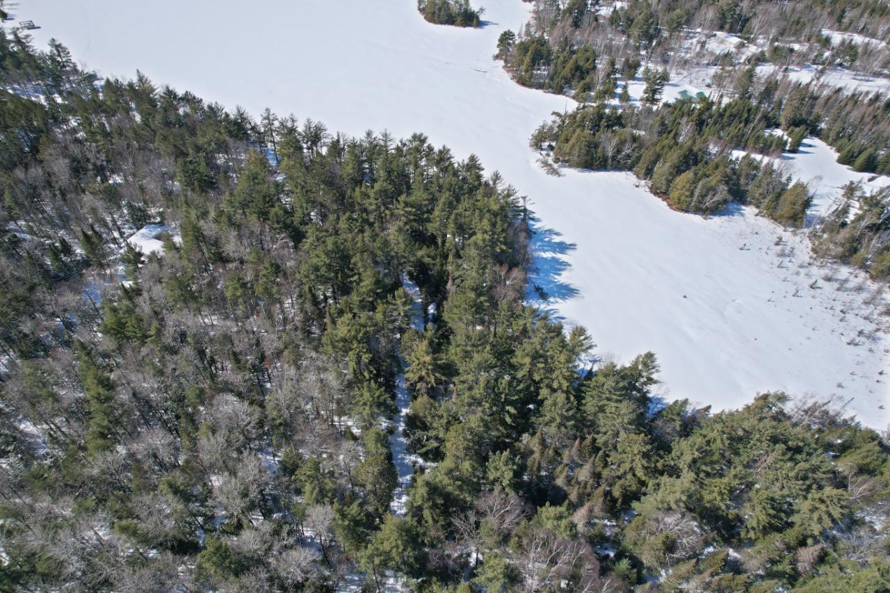 Three Lakes Wi 54562, Unit 1 Three Lakes, WI 54562 - Photo 10 of 16 Gallery Image 10