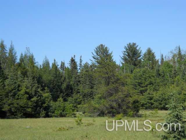 Tbd Missouri Rd - Co Rd 565, Unit LAT 46 31633 LON 87 5822 Gwinn, MI 49841 - Photo 29 of 30