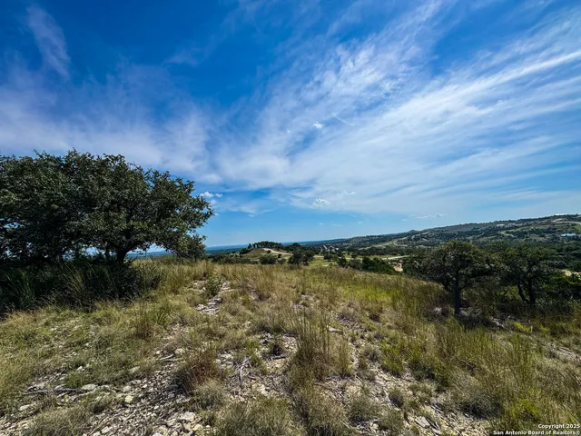 a view of a lake in middle of forest