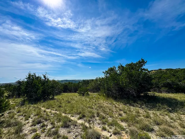 a view of a yard with an outdoor space