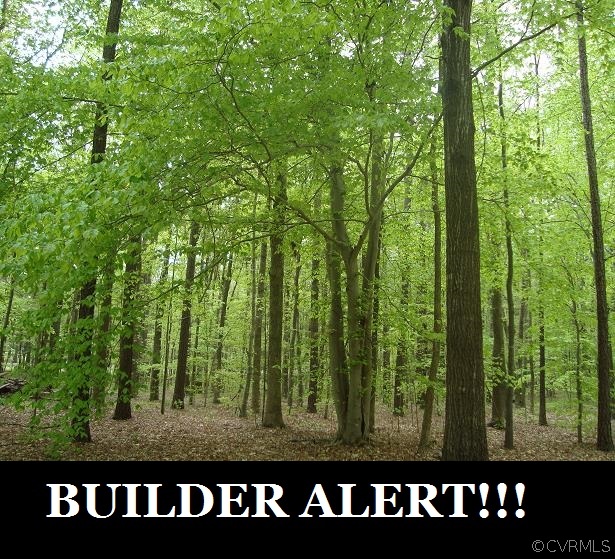 4.45-acres Pierce Road Powhatan, VA 23139 - Photo 1 of 6 Gallery Image 1