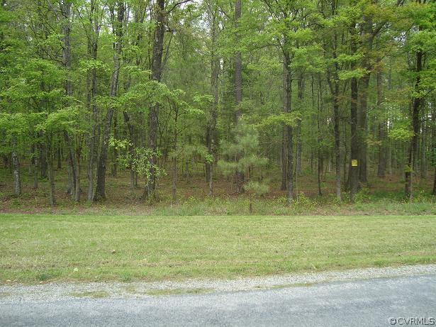 4.45-acres Pierce Road Powhatan, VA 23139 - Photo 3 of 6 Gallery Image 3