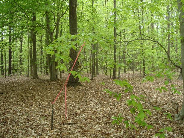 4.45-acres Pierce Road Powhatan, VA 23139 - Photo 4 of 6 Gallery Image 4