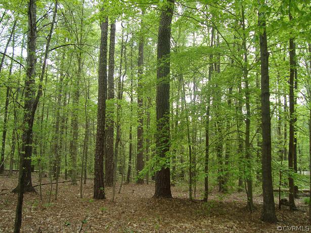 4.45-acres Pierce Road Powhatan, VA 23139 - Photo 6 of 6 Gallery Image 6