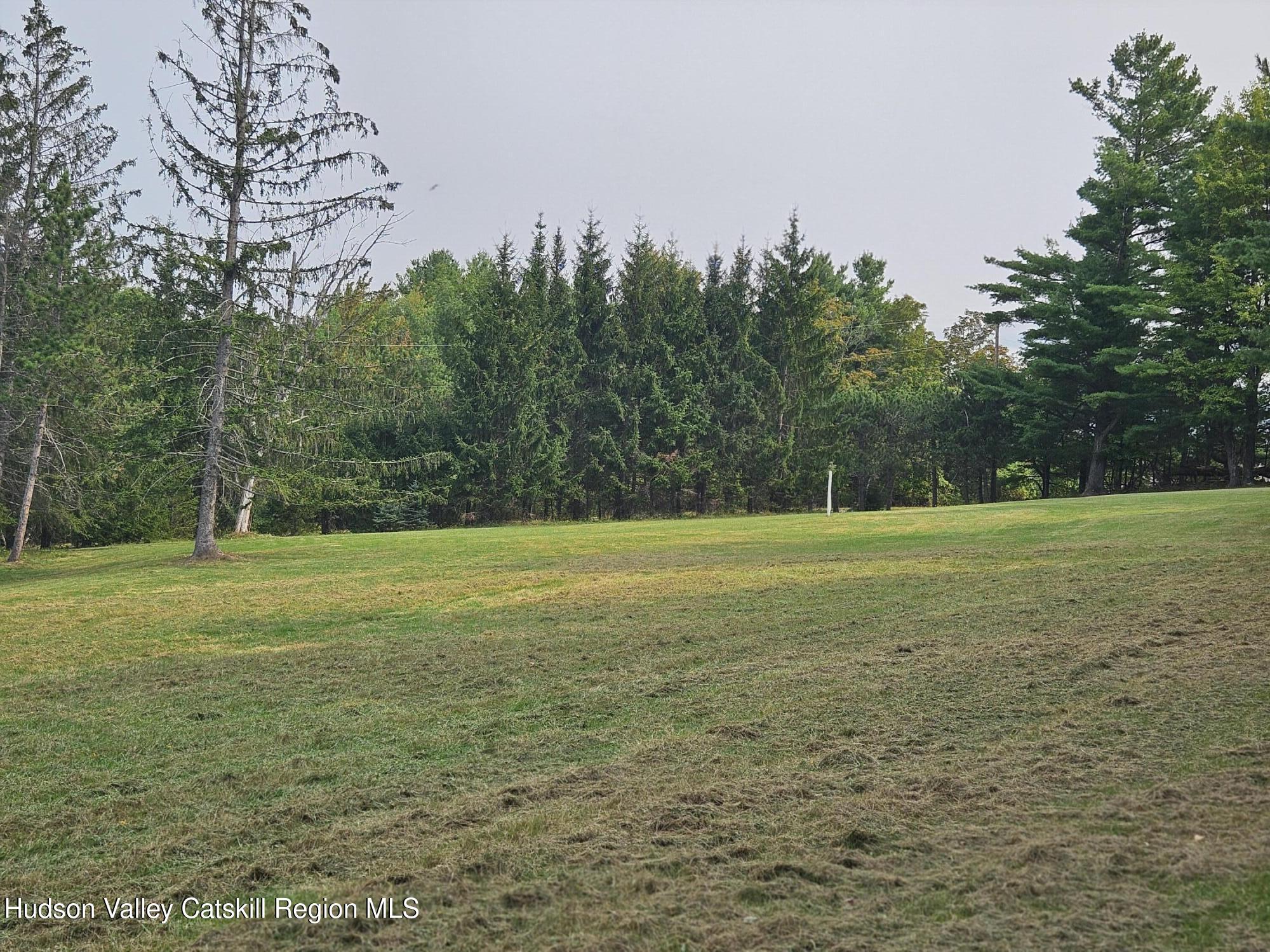 20 Reich Road Cornwallville, NY 12418 - Photo 46 of 53 Spacious Land
