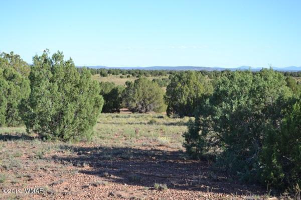034 (hardy Ranch Concho, AZ 85924 - Photo 11 of 18