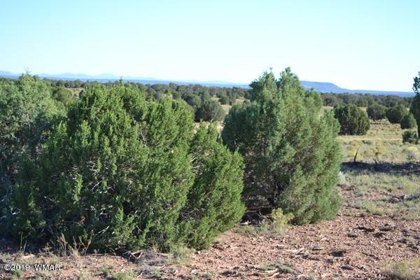 034 (hardy Ranch Concho, AZ 85924 - Photo 12 of 18