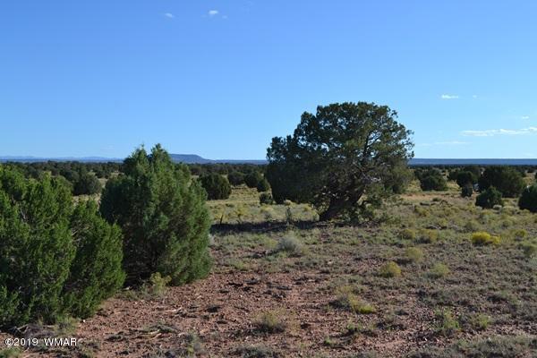 034 (hardy Ranch Concho, AZ 85924 - Photo 13 of 18