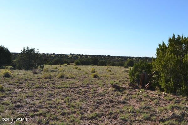 034 (hardy Ranch Concho, AZ 85924 - Photo 14 of 18