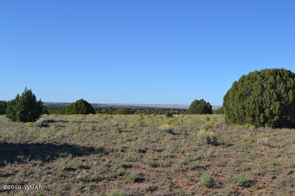034 (hardy Ranch Concho, AZ 85924 - Photo 15 of 18