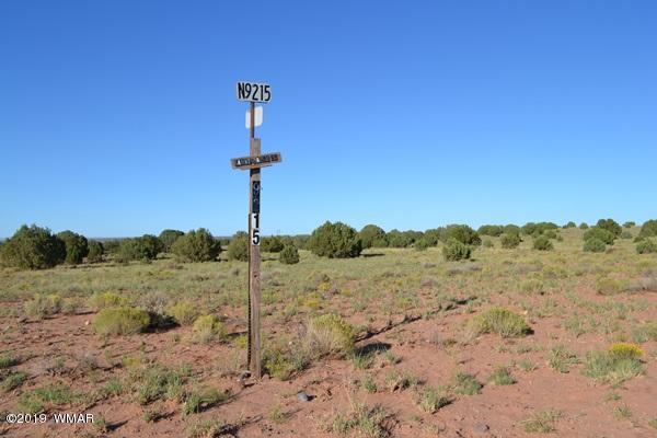 034 (hardy Ranch Concho, AZ 85924 - Photo 16 of 18