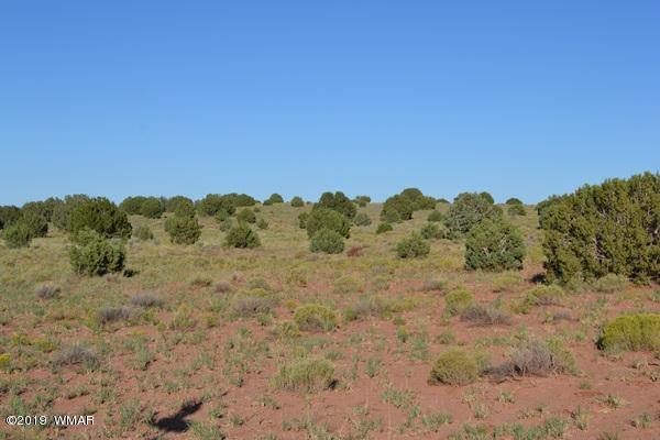 034 (hardy Ranch Concho, AZ 85924 - Photo 17 of 18