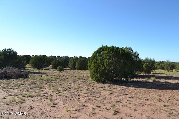 034 (hardy Ranch Concho, AZ 85924 - Photo 2 of 18