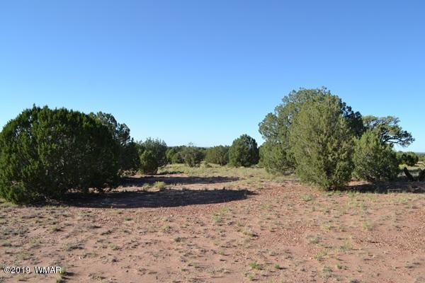 034 (hardy Ranch Concho, AZ 85924 - Photo 3 of 18