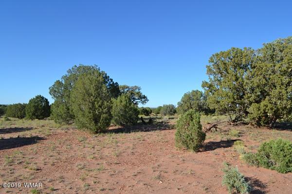 034 (hardy Ranch Concho, AZ 85924 - Photo 4 of 18