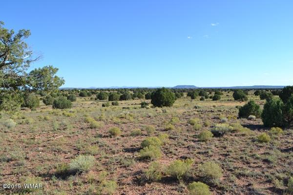 034 (hardy Ranch Concho, AZ 85924 - Photo 5 of 18
