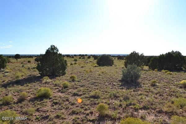 034 (hardy Ranch Concho, AZ 85924 - Photo 6 of 18