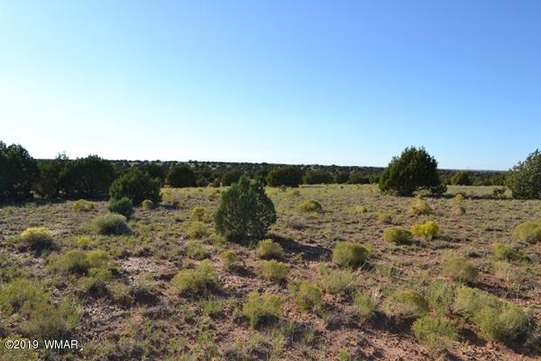 034 (hardy Ranch Concho, AZ 85924 - Photo 7 of 18